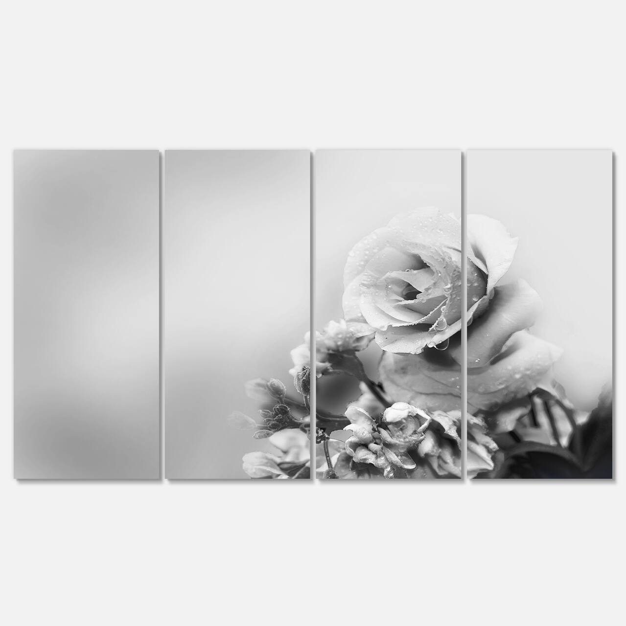 Designart - Black and White Rose in Spring. - Floral Canvas Art Print